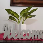 Holidays House - Bella Nicol