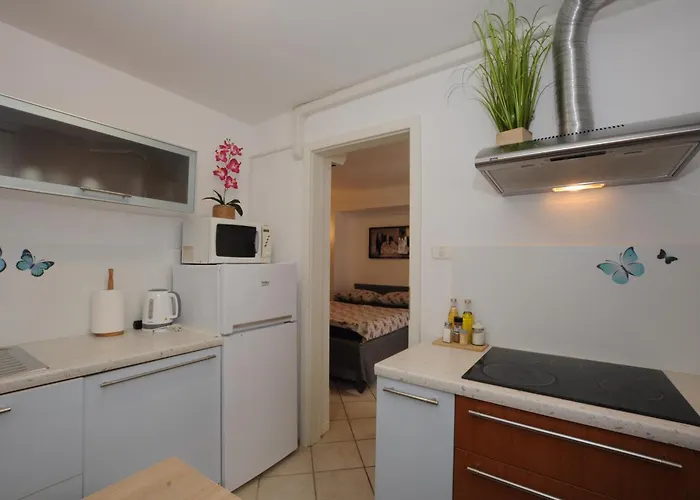 Holidays House - Bella Nicol